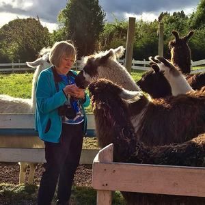Meet your Posher, Carole